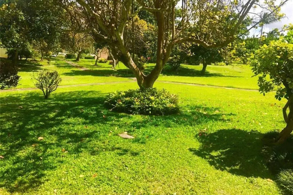 Hidden Gem! Turtle Bay Hideaway-85 Apartment Kahuku