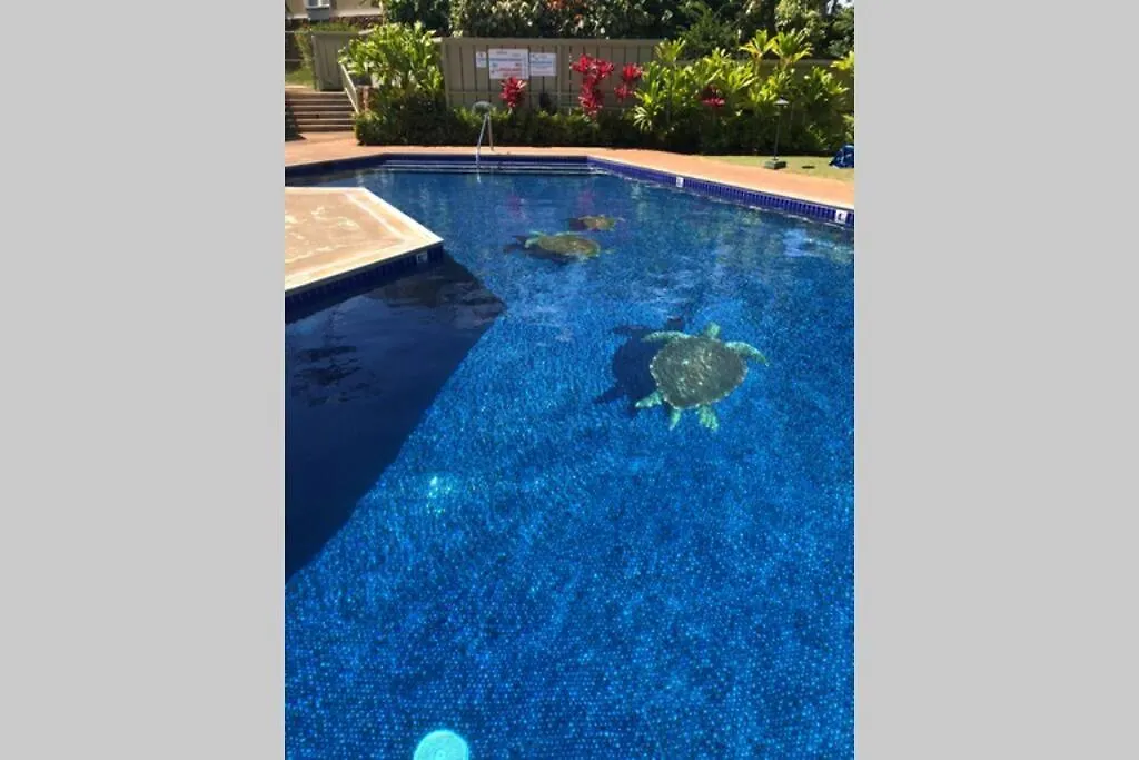 Hidden Gem! Turtle Bay Hideaway-85 Apartment Kahuku