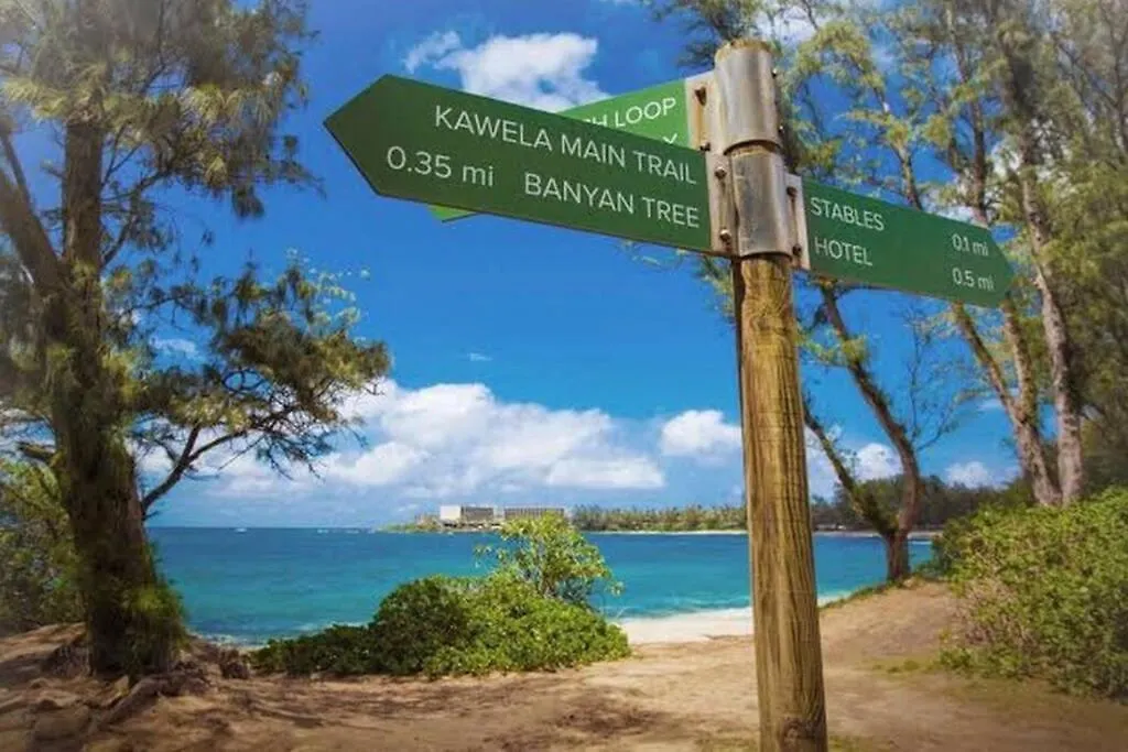 Hidden Gem! Turtle Bay Hideaway-85 Apartment Kahuku