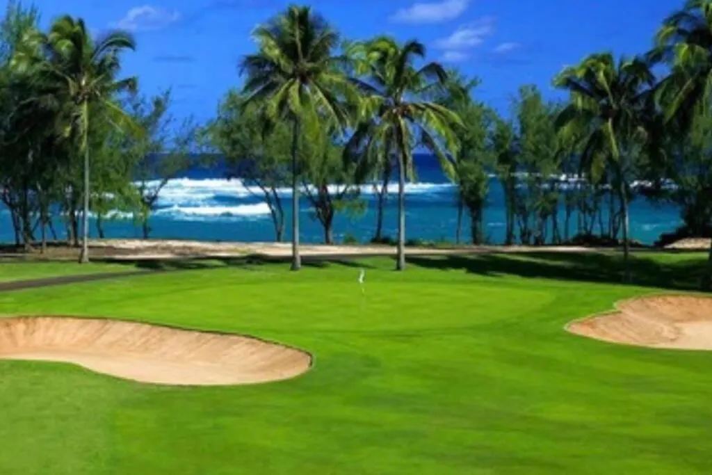 Hidden Gem! Turtle Bay Hideaway-85 Apartment Kahuku