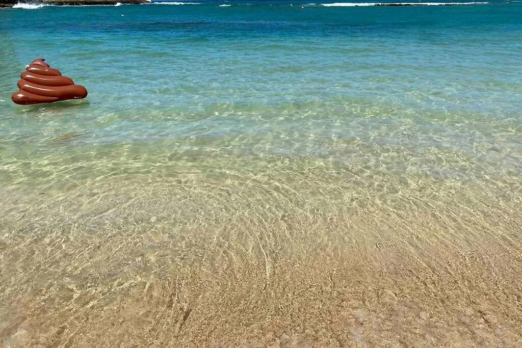 Hidden Gem! Turtle Bay Hideaway-85 Apartment Kahuku United States