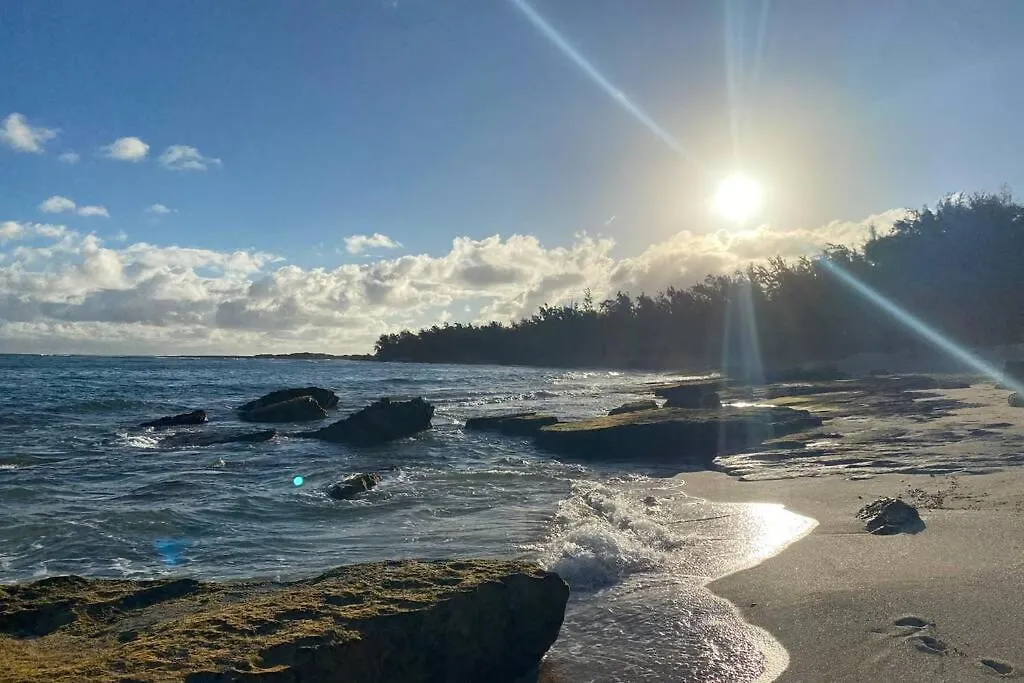 Hidden Gem! Turtle Bay Hideaway-85 Apartment Kahuku 0*,